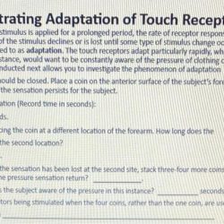 Receptors reproduce mapping