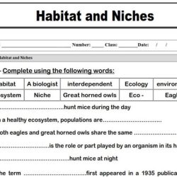 Habitats and niches worksheet answer key