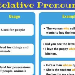 Quiz 3 clauses and pronoun reference