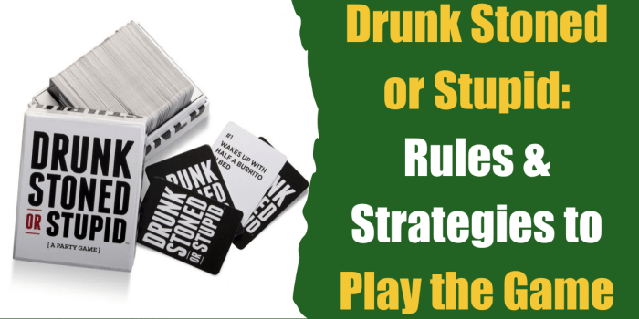 Drunk stupid or stoned rules